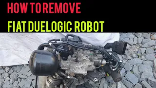 How to remove a duel logic gearbox robot(selespeed) from a fiat punto, 500,panda