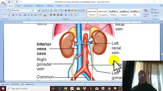 Venous Disorders in English 1 ( Introduction ) , by Dr.Wahdan