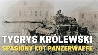 Tygrys Królewski - spasiony kot Panzerwaffe.