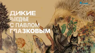 Дикие выходные с Павлом Глазковым. Заказник «Северное побережье Невской губы».