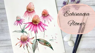 Coloring Echinacea Flower On The Last Time Pencil Drawing-Watercolor Painting -Tutorial Step by Step