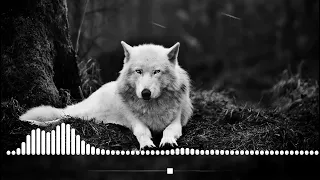 Руслан Добрый Tural Everest -Волки (Ahmad Remix)New 2021