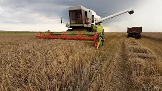 Zdążyć przed deszczem✔Deszczowe żniwa🚨Fortschritt idzie jak burza,Fortschritt E517,Ursus x2,Deutz x1