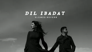 dil ibadat (slowed reverb)❣️🥺 @bollywood_filmer follow on Instagram