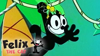 Felix Swings From the Trees | Felix The Cat