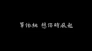 單依純 想你時風起 歌詞版（陸劇「我的人間煙火」回憶主題曲）