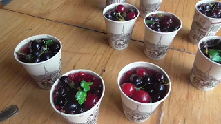 Berry ice-cream for bears
