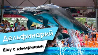 Дельфинарий Немо Минск