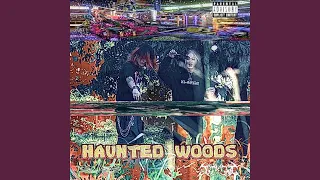 Haunted Woods (feat. rirugiliyangugili)