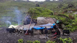 Best Life in The Nepali Mountain Village During The Rainy Time। Best Compilation Video rainy Time