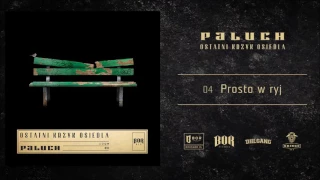 Paluch "Prosto w ryj" prod. The Returners