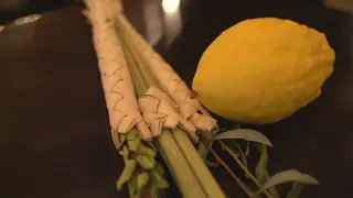 Sukkot is a Jewish celebration of the harvest