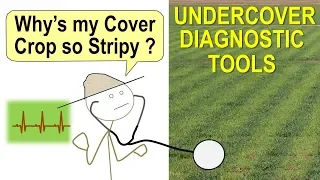 Using Cover Crops as Undercover Diagnostic Tools for Farmers and Scientists