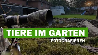 Vögel im Garten fotografieren mit Tarnzelt.