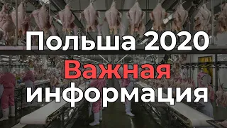 Работа в Польше на Мясокомбинате - завод возле Катовиц