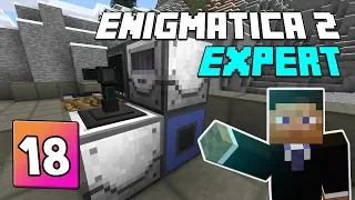 Enigmatica 2: Expert Mode - EP 18 | Latex & Essentia transfusing