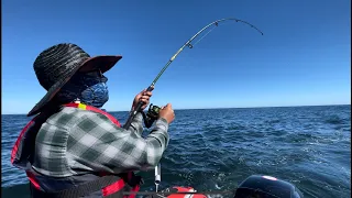 PESCA EN LA COSTA VALDIVIANA