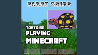 Tortoise Playing Minecraft