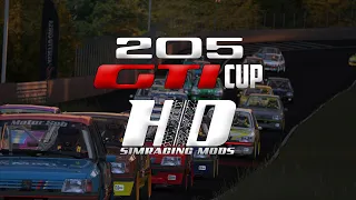 HDSIMRACINGMODS - 205 GTI CUP