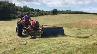 Massey Ferguson 35X , Mowing grass for hay
