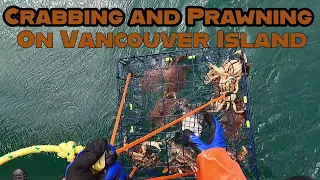 Crabbing and Prawning on Vancouver Island
