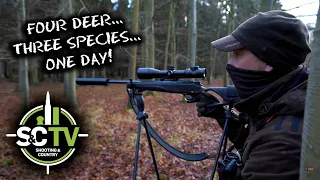 S&C TV | Deer management with Chris Rogers 7 | Four deer hunt! 4 deer, 3 species, 1 day!