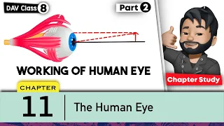 Chapter 11 | The Human Eye | Class 8 DAV Science | Chapter Study (Part 2)🔥🔥🔥