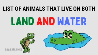 List of animals that live on both land and water || QnA Explained