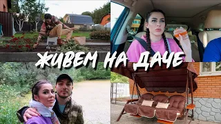 #ЖивемНаДаче 17 || ИЩЕМ ПРУД В ЛЕСУ | НАВОЖУ ПОРЯДОК В ОГОРОДЕ  | ПРОБУЕМ "ВКУСНО И ТОЧКА"