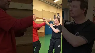 Cours Adultes Wingchun Tan Sao et variantes #martialarts #sifucarl #wingchun #wingchuntansao