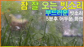 잠 잘 오는 빗소리 - 부드러운 빗소리와 5분후 어두운 화면으로