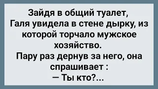 Галя Увидела Дырку в Стене! Сборник Свежих Анекдотов! Юмор!