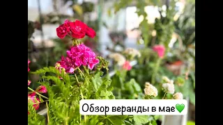 Обзор веранды в мае💚