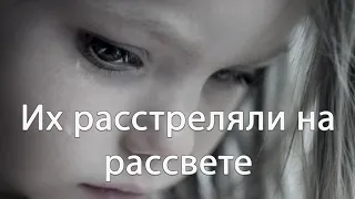 Их расстреляли на рассвете