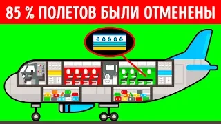 Почему авиакомпания с органической едой и водяными матрасами на борту обанкротилась