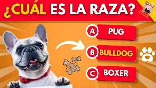 ¿Cuál es la raza del PERRO? 🐶🐺 Adivina la raza del PERRO