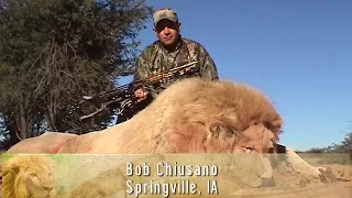 Africa's Best Bowhunts Volume 7