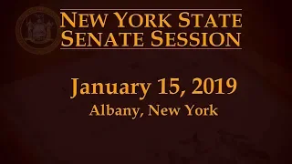 NYS Senate Session - 1/15/19