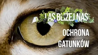 Las bliżej nas - Ochrona gatunków