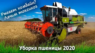 Учимся быть комбайнерами. CLAAS 108sl