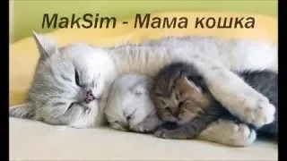 MakSim - Мама кошка (MakSim - mom cat) with lyrics