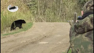 Hunting black bear in Canada - best area in British Columbia