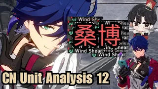 CN Unit Analysis 12 - Sampo