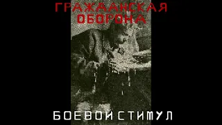 Гражданская оборона - Всё в порядке (За*бись!) [8-bit/Chiptune cover]