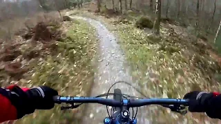 False Teeth - MBR / The Beast trails - Coed Y Brenin