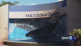 Is the Maui Ocean Center the best aquarium in the nation?