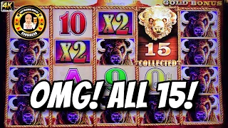OMG! ALL 15 GOLD HEADS -2 Huge Jackpots on Buffalo Gold in Las Vegas