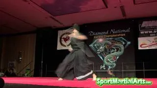 Kalman Csoka - Adult Weapons Final - 2011 Diamond Nationals