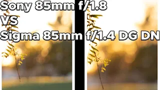 Sony 85mm f/1.8 VS Sigma 85mm f/1.4 DG DN Lens Bokeh Comparison