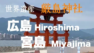 2024年5月　世界遺産　厳島神社　Hiroshima #観光 #miyajima